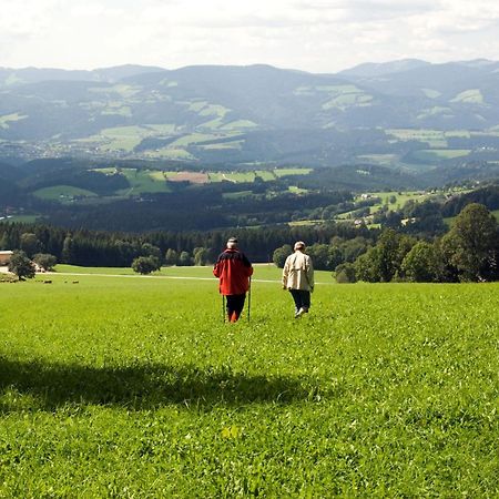 Wildwiesenhof Miesenbach  Kültér fotó
