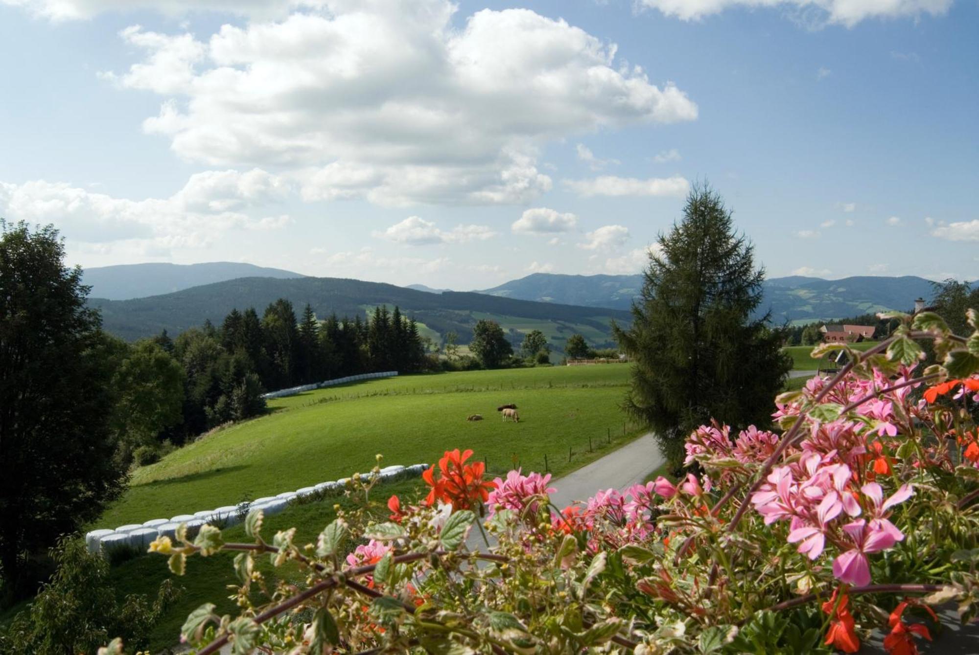 Wildwiesenhof Miesenbach  Kültér fotó