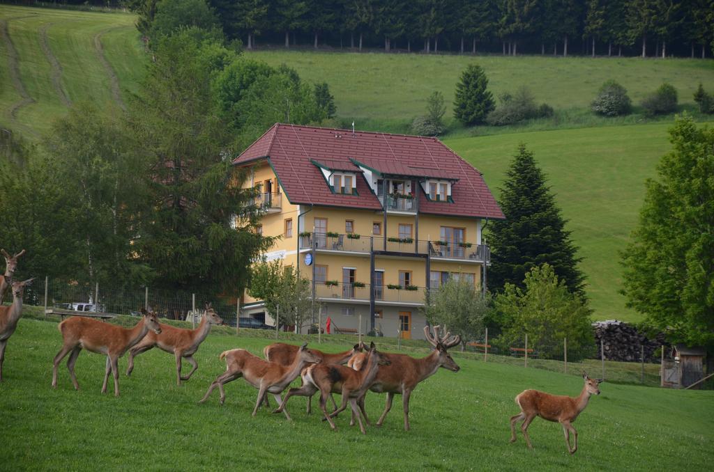 Wildwiesenhof Miesenbach  Kültér fotó