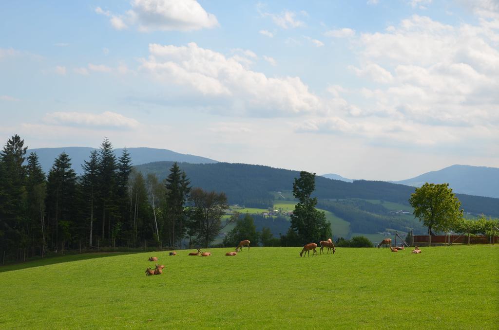Wildwiesenhof Miesenbach  Kültér fotó