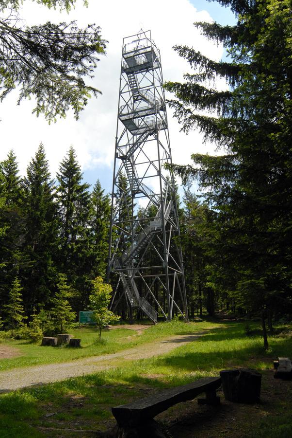 Wildwiesenhof Miesenbach  Kültér fotó